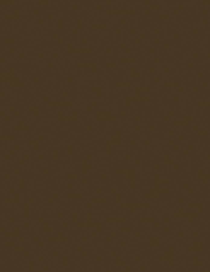 Bazzill Cardstock Bazzill Card Shoppe Heavyweight 8.5"x11" Cardstock - 25 Sheets, Peanut Fudge