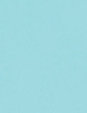 Bazzill Cardstock Bazzill Card Shoppe Heavyweight 8.5"x11" Cardstock - 25 Sheets, Ronin's Egg