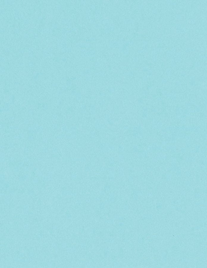 Bazzill Cardstock Bazzill Card Shoppe Heavyweight 8.5"x11" Cardstock - 25 Sheets, Ronin's Egg