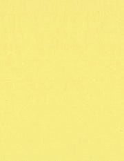 Bazzill Cardstock Bazzill Card Shoppe Heavyweight 8.5"x11" Cardstock - 25 Sheets, Sour lemon
