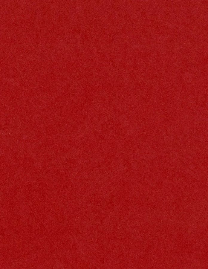 Bazzill Cardstock Bazzill Card Shoppe Heavyweight 8.5"x11" Cardstock - 25 Sheets, Wax Lips