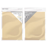 Load image into Gallery viewer, Craft Perfect bundle Craft Perfect - Pearlescent Card Bundle - PB03