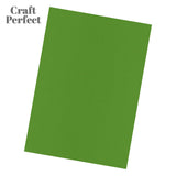 Load image into Gallery viewer, Craft Perfect Classic Card Craft Perfect - Classic Card - Grass Green - A4 - 216gsm - 10 Sheets - 9035E