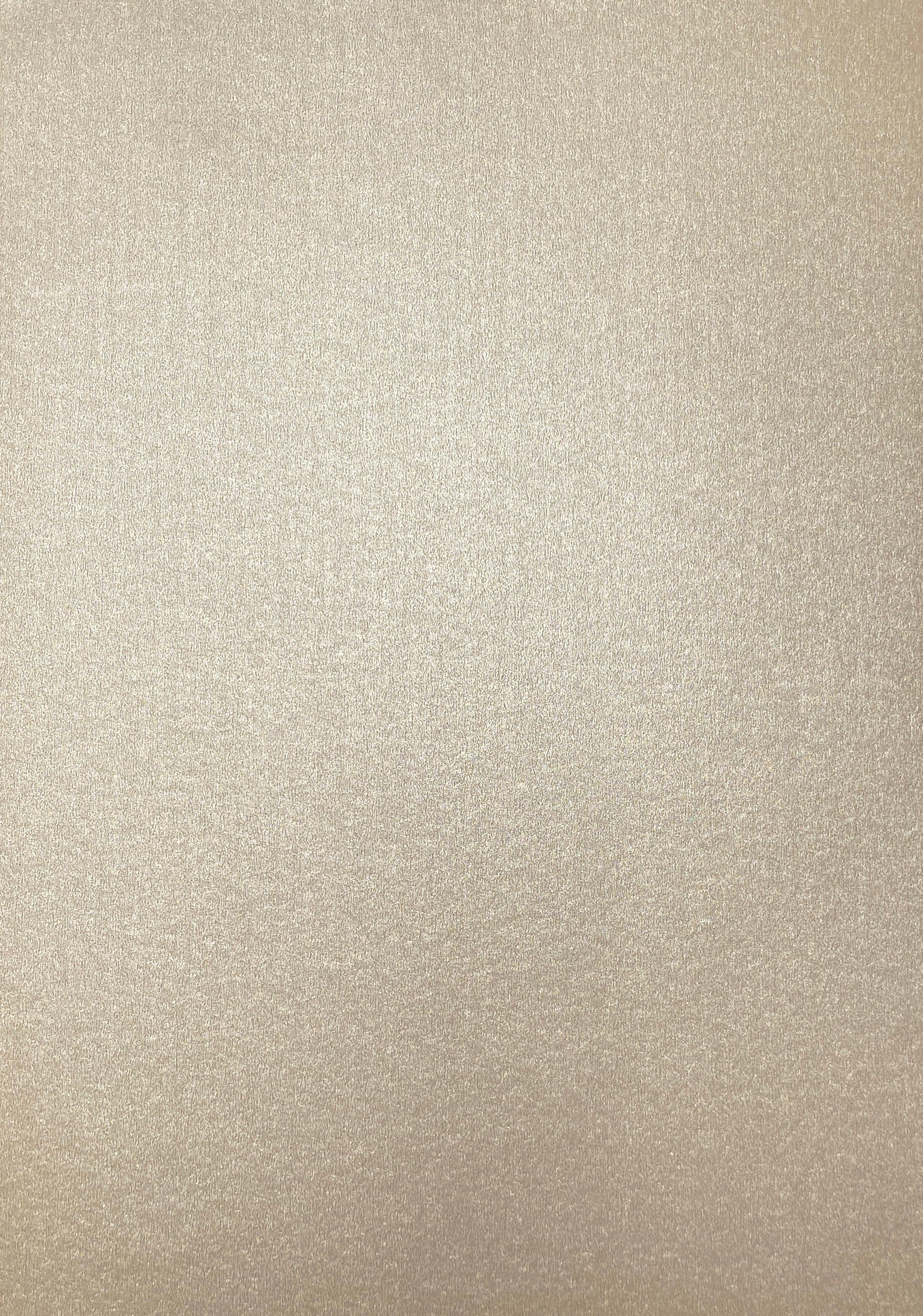 Craft Perfect Pearlescent Card Craft Perfect - Luna Silver Pearlescent Card Craft Perfect - Pearlescent Card - Luna Silver A4 (5/PK) - 9499E