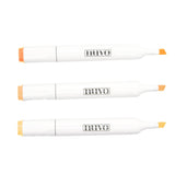 Load image into Gallery viewer, Nuvo Bundle Stamp Club Nuvo Bundle - SC31-2