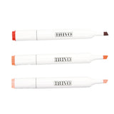 Load image into Gallery viewer, Nuvo Bundle Stamp Club Nuvo Bundle - SC31-2