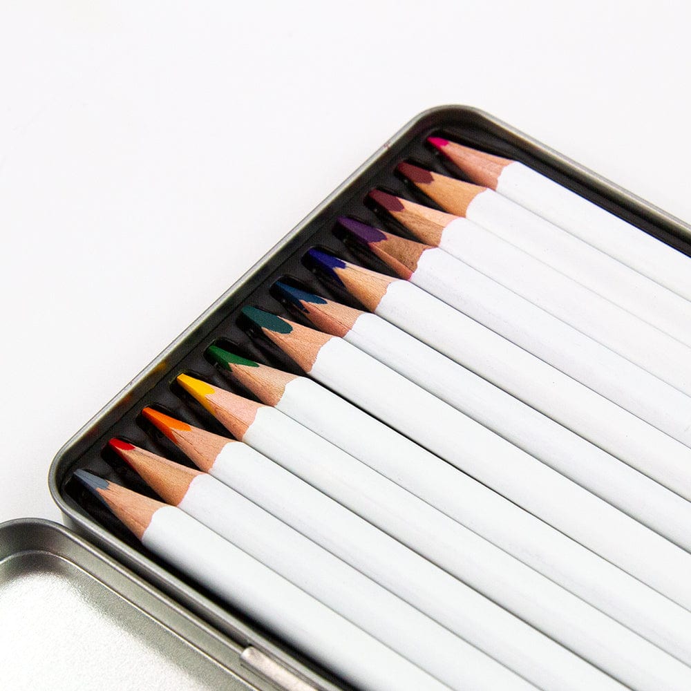 Nuvo Pens and Pencils Nuvo - Classic Colour Pencils - Elementary Midtones - 517N