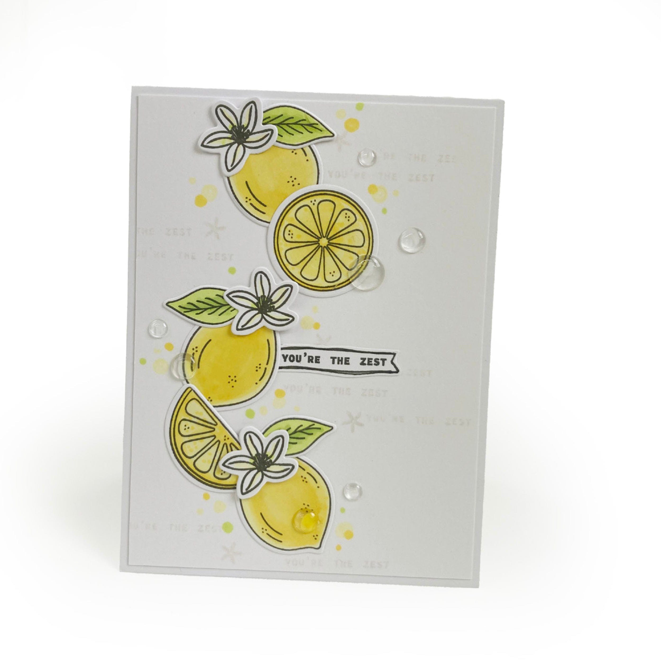 Tonic Craft Kit exclude Tonic Craft Kit 80 - One Off Purchase - Just The Weigh You Are