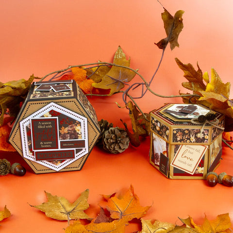 Tonic Studios Die Cutting A Box of Memories Die Set - 5889e