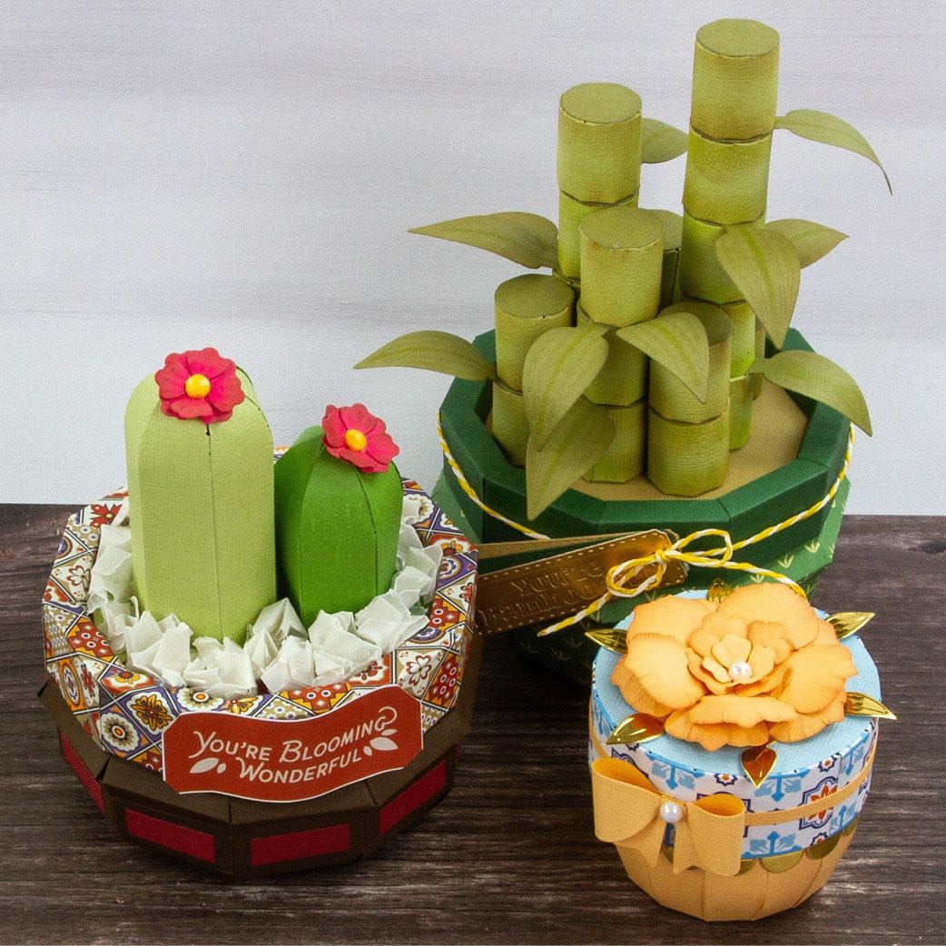 Tonic Studios Die Cutting Supreme Succulents Die and Patterned Pad Collection - CW2502