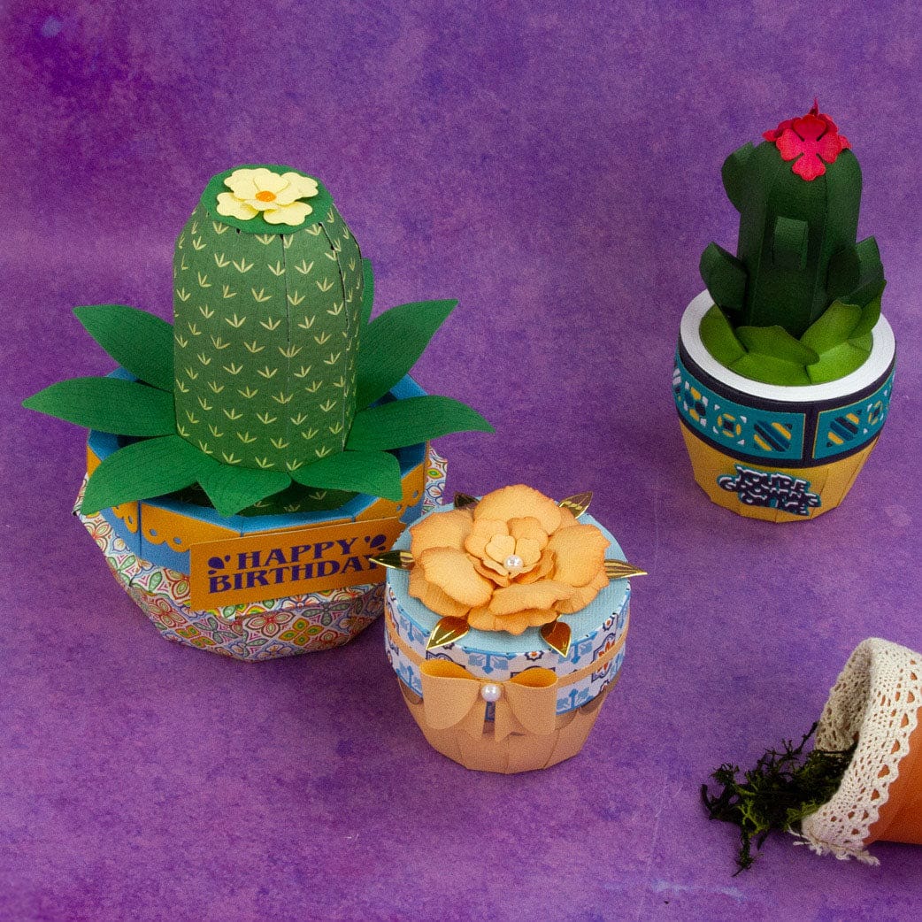 Tonic Studios Die Cutting Supreme Succulents Die and Patterned Pad Collection - CW2502