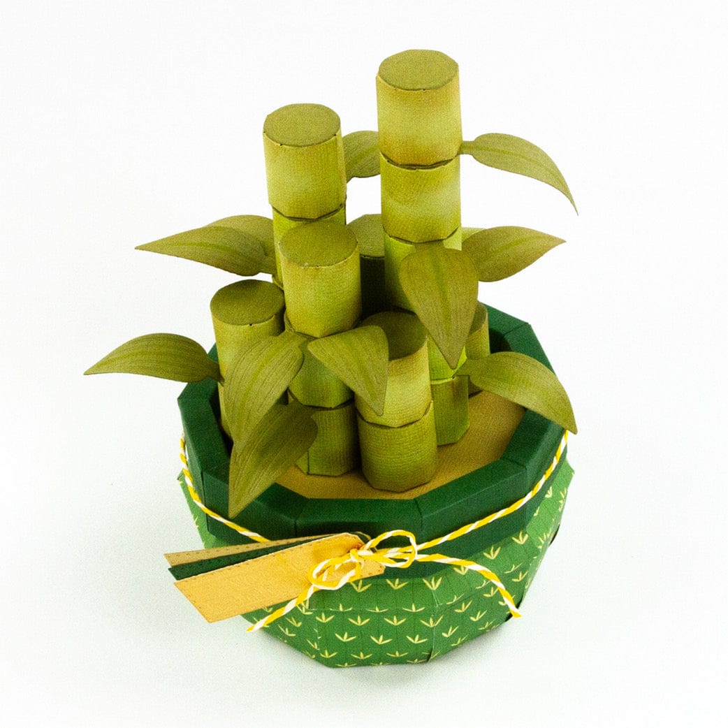 Tonic Studios Die Cutting Supreme Succulents Die and Patterned Pad Collection - CW2502