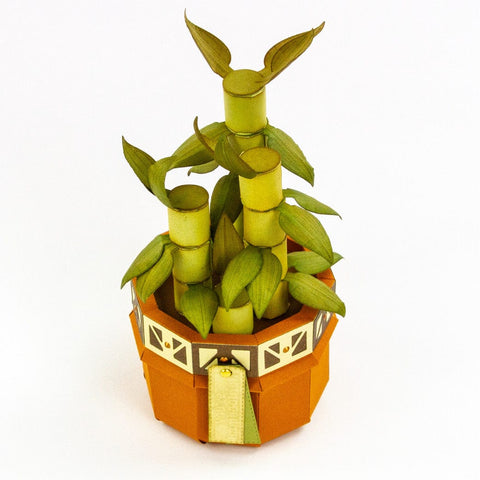 Tonic Studios Die Cutting Supreme Succulents Die and Patterned Pad Collection - CW2502