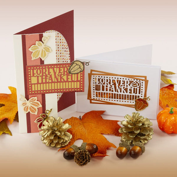 Tonic Studios Die Cutting Thankful Harvest Gift Box - Showcase Die Set - 5344e