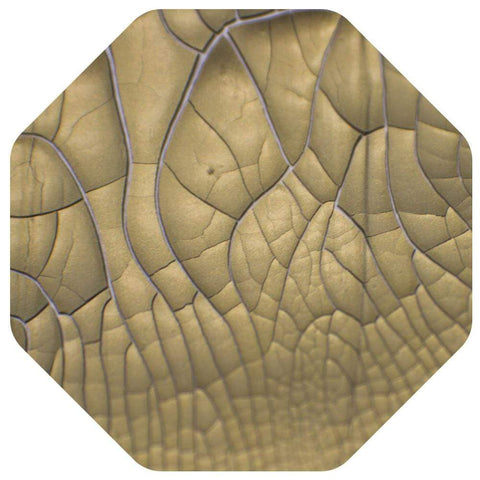Nuvo Crackle Mousse Nuvo - Crackle Mousse - Egyptian Gold - 1398N