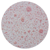 Load image into Gallery viewer, Nuvo Mica Mist Nuvo - Mica Mist - Pink Carnation - 567n
