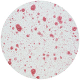 Load image into Gallery viewer, Nuvo Mica Mist Nuvo - Mica Mist - Turkish Rose - 573n