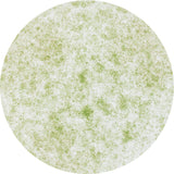 Load image into Gallery viewer, Nuvo Mica Mist Nuvo - Mica Mist - Wild Olive - 566N