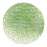 Load image into Gallery viewer, Nuvo Sparkle Spray Nuvo - Sparkle Spray - Wispy Willow - 1671N