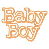 Load image into Gallery viewer, Tonic Studios Die Cutting Tonic Studios - Baby Boy Sentiment Die Set - 3846E