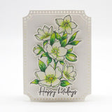 Load image into Gallery viewer, Tonic Studios Stamp Club Stamp Club - Christmas Rose - Stamp &amp; Die Set - SC12